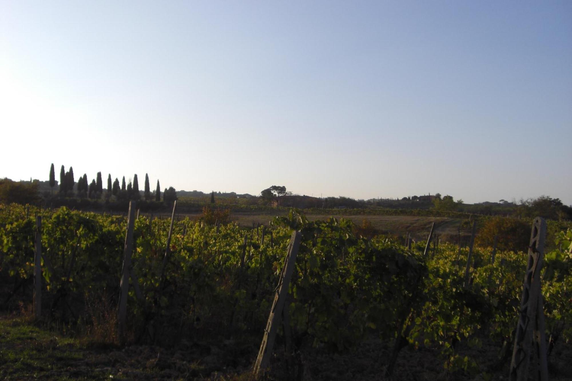 Montepulciano Stazione Tenuta Santagnese מראה חיצוני תמונה