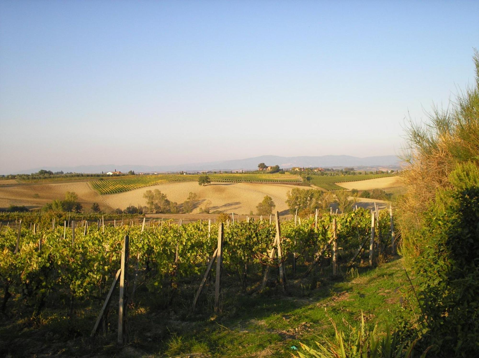 Montepulciano Stazione Tenuta Santagnese מראה חיצוני תמונה