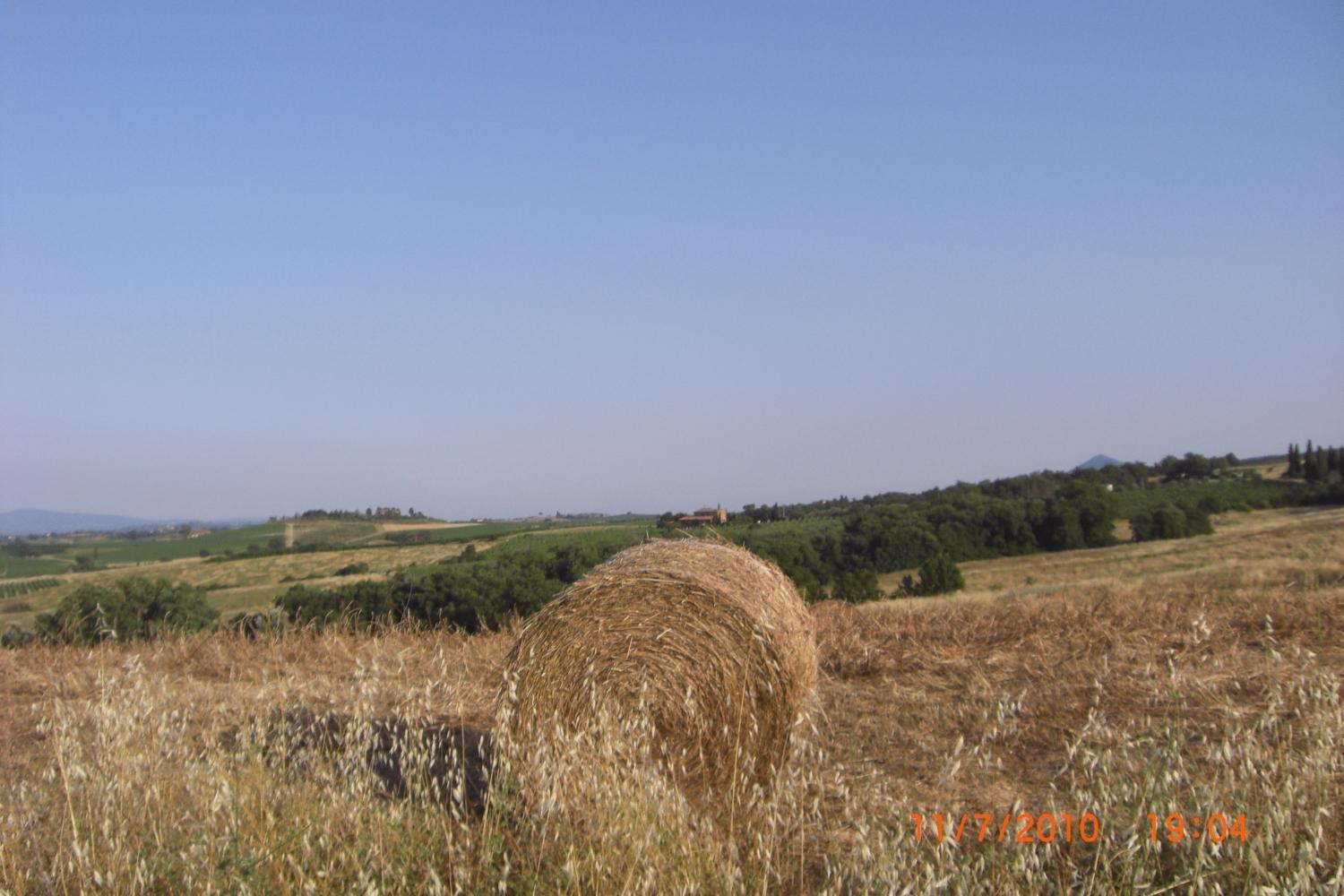 Montepulciano Stazione Tenuta Santagnese מראה חיצוני תמונה